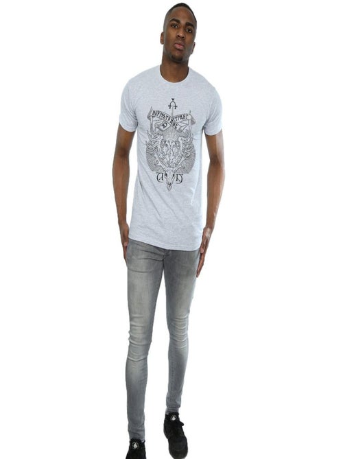 Harry Potter - T-shirt DURMSTRANG INSTITUTE - Kiabi