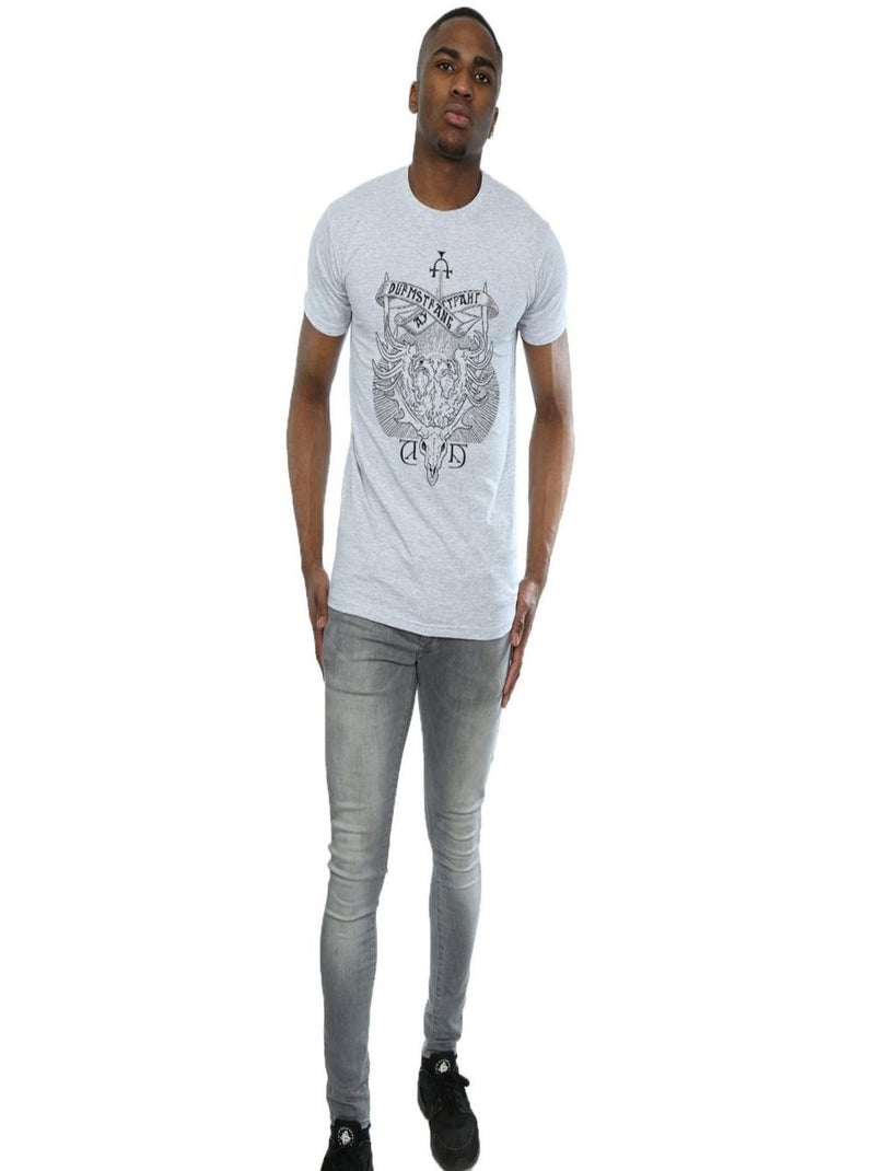 Harry Potter - T-shirt DURMSTRANG INSTITUTE Gris chiné - Kiabi