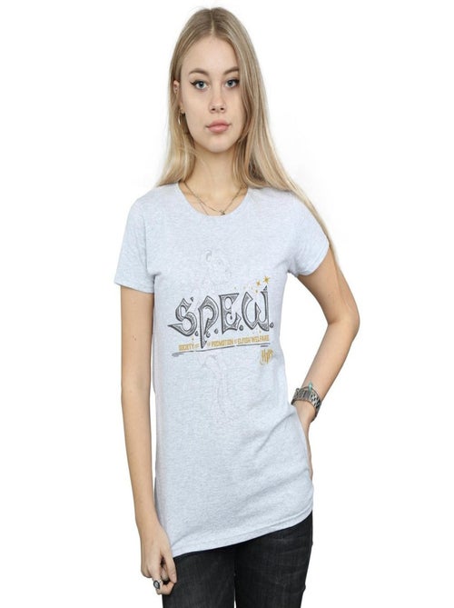 Harry Potter - T-shirt ELFISH WELFARE - Kiabi