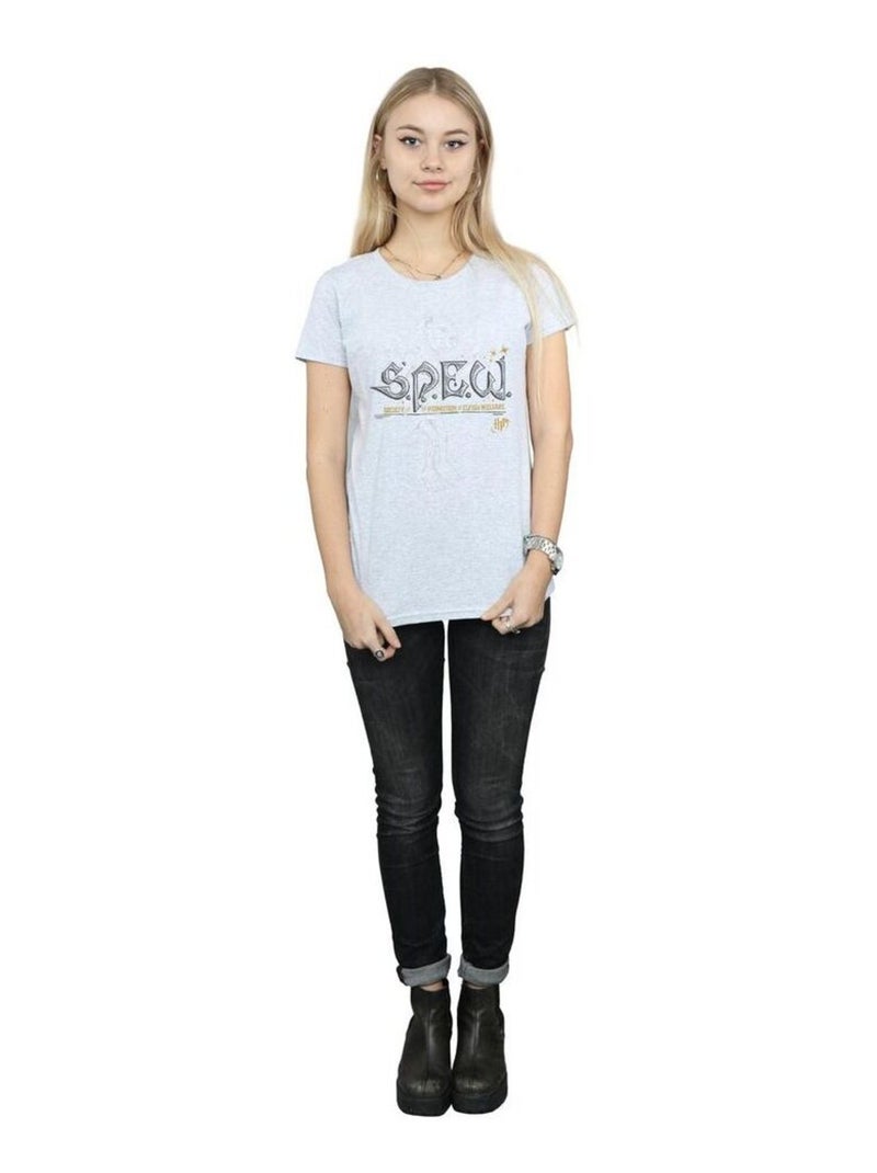 Harry Potter - T-shirt ELFISH WELFARE Gris chiné - Kiabi