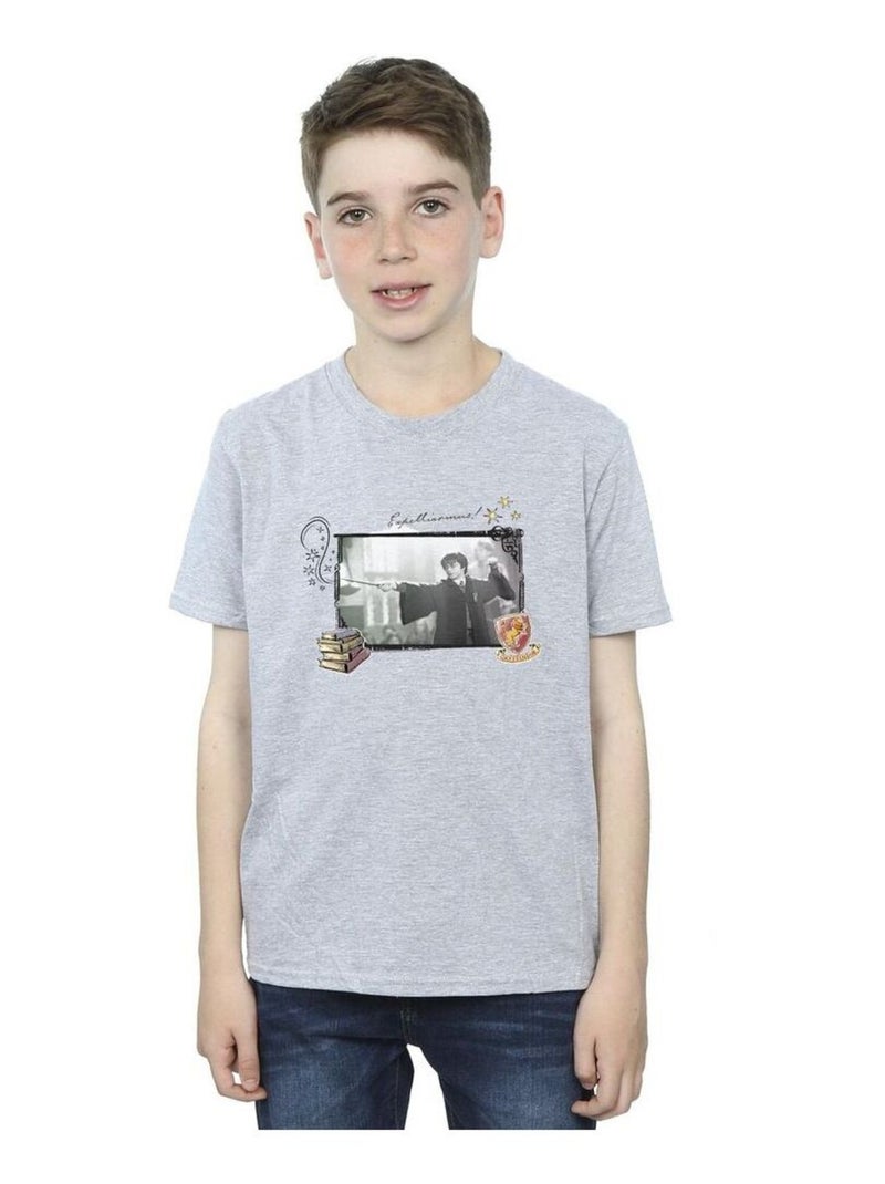 Harry Potter - T-shirt EXPELLIARMUS Gris chiné - Kiabi
