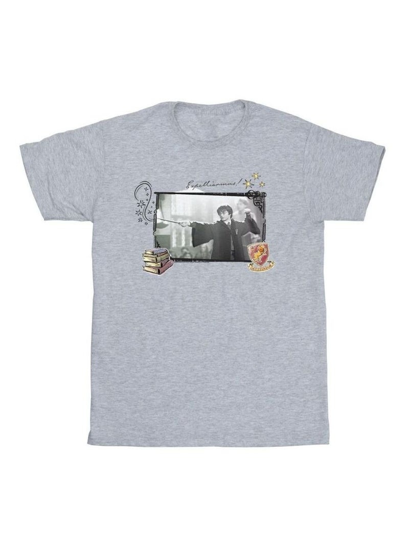 Harry Potter - T-shirt EXPELLIARMUS Gris chiné - Kiabi