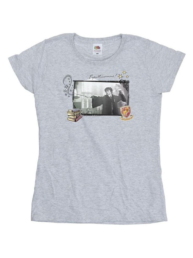 Harry Potter - T-shirt EXPELLIARMUS Gris chiné - Kiabi