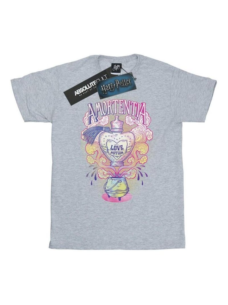 Harry Potter - T-shirt Gris chiné - Kiabi