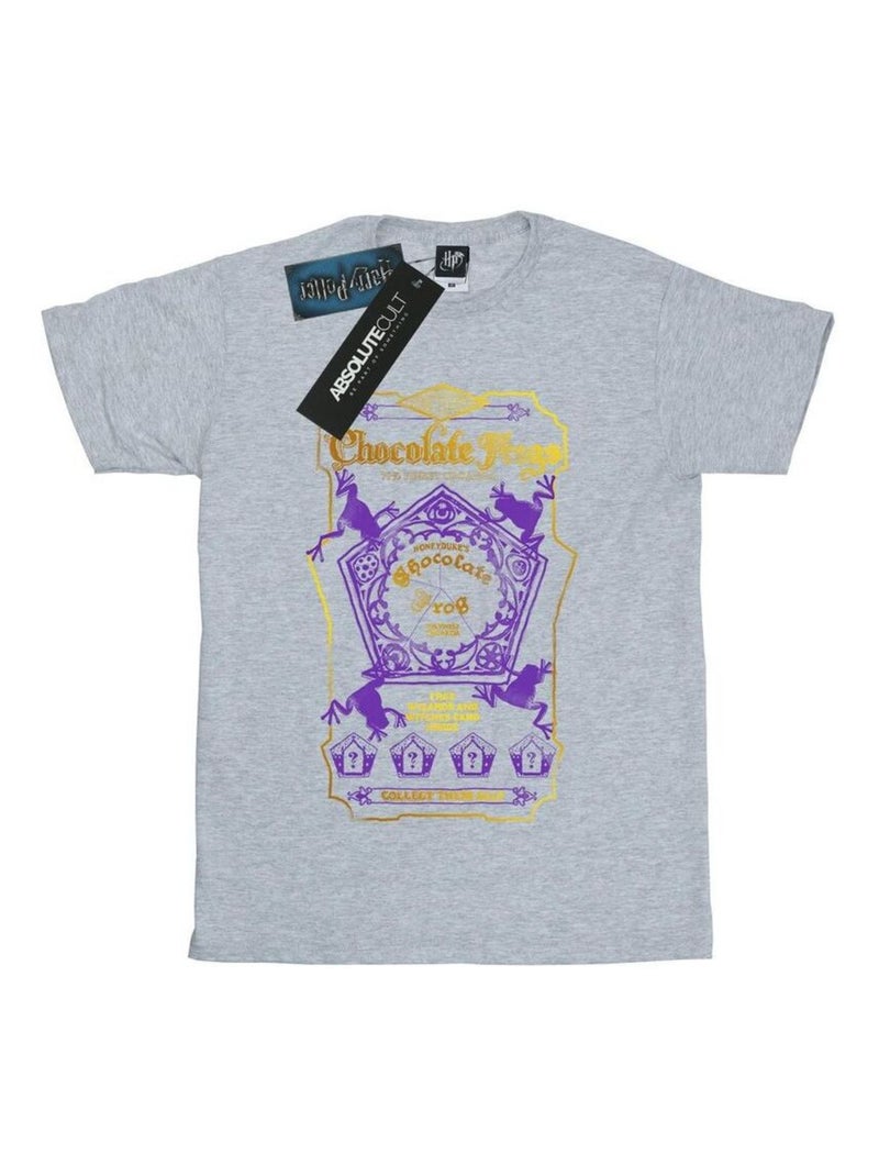 Harry Potter - T-shirt Gris chiné - Kiabi