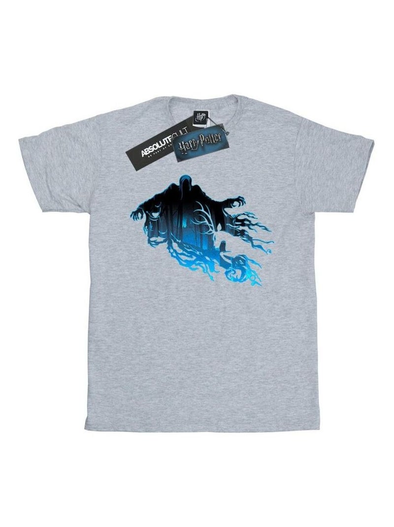 Harry Potter - T-shirt Gris chiné - Kiabi