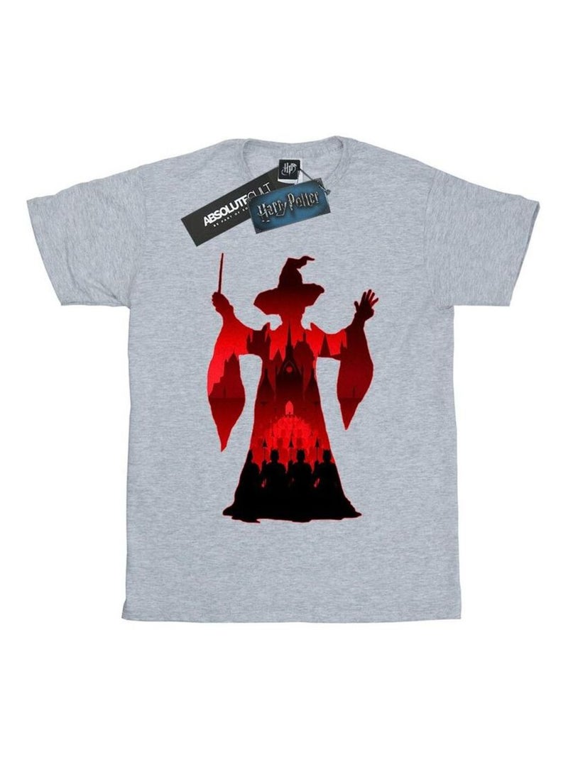 Harry Potter - T-shirt Gris chiné - Kiabi