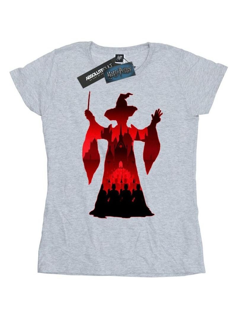 Harry Potter - T-shirt Gris chiné - Kiabi