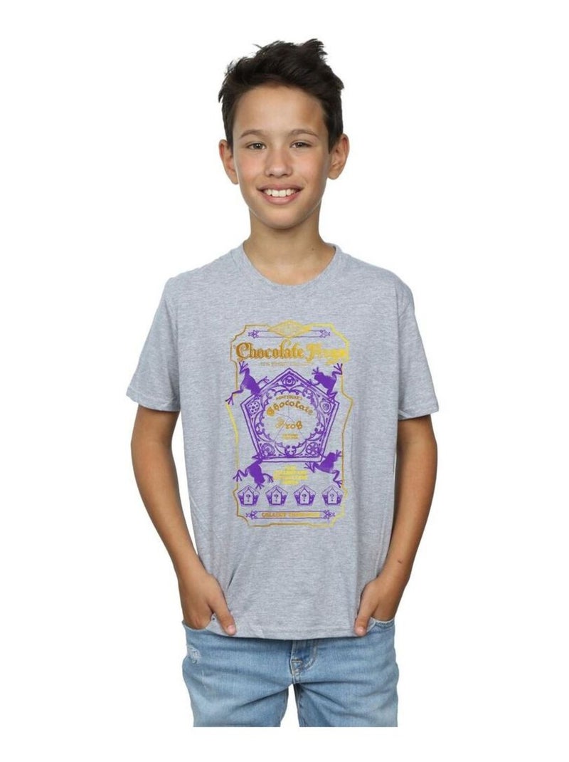 Harry Potter - T-shirt Gris chiné - Kiabi