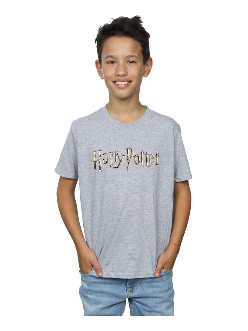 Harry Potter - T-shirt Gris chiné - Kiabi