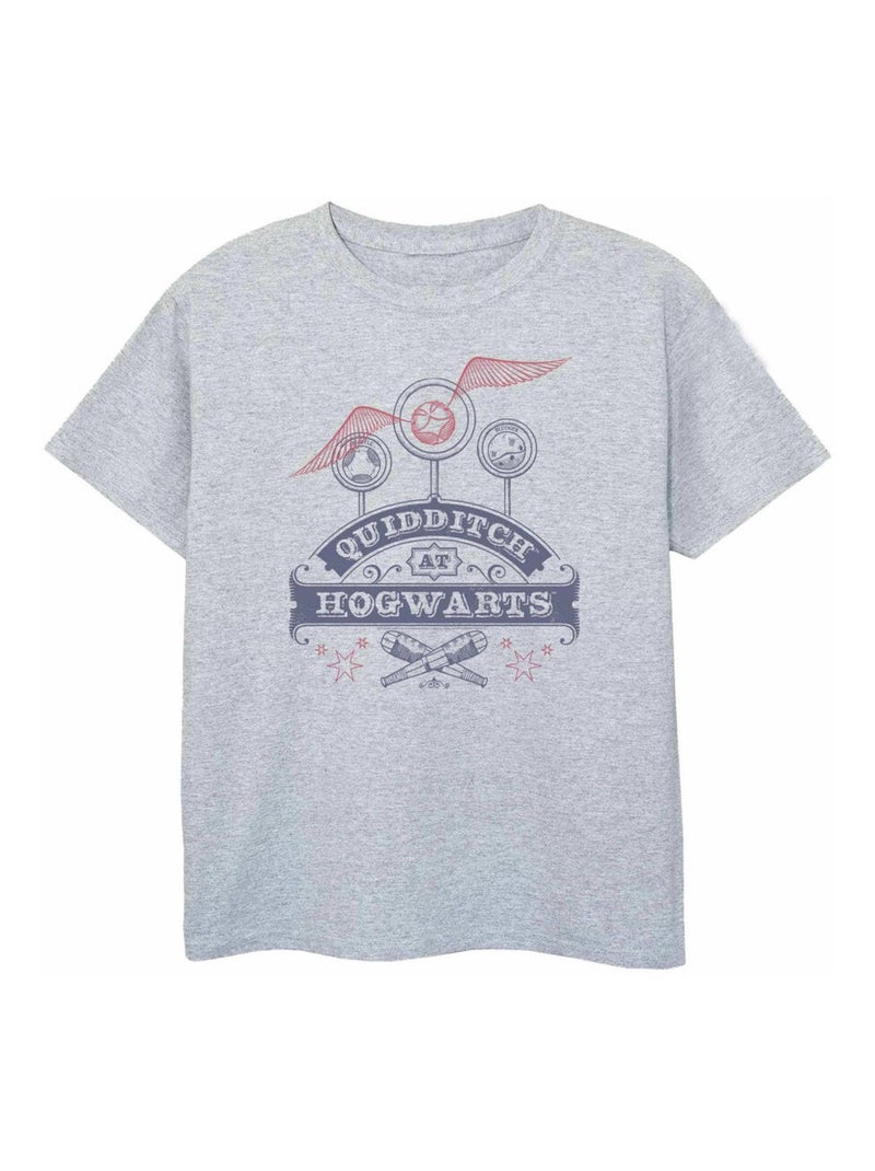 Harry Potter - T-shirt Gris chiné - Kiabi