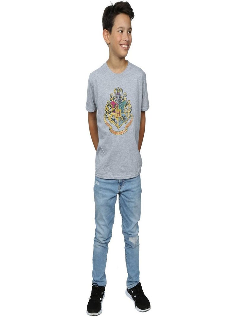 Harry Potter - T-shirt Gris chiné - Kiabi