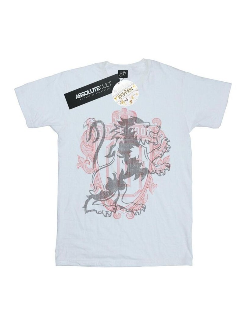Harry Potter - T-shirt GRYFFINDOR Blanc - Kiabi