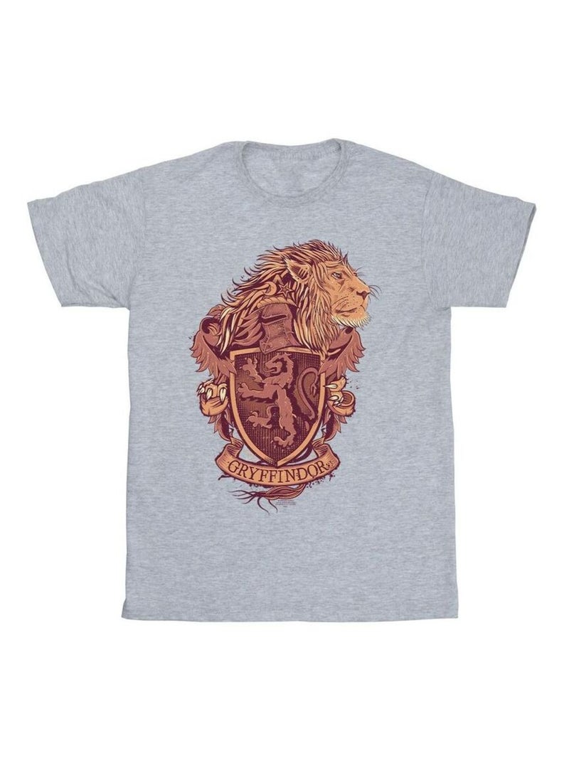 Harry Potter - T-shirt GRYFFINDOR Gris chiné - Kiabi