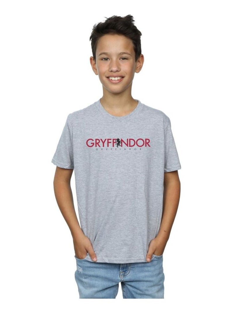 Harry Potter - T-shirt GRYFFINDOR Gris chiné - Kiabi