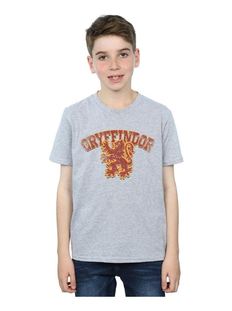 Harry Potter - T-shirt GRYFFINDOR Gris chiné - Kiabi