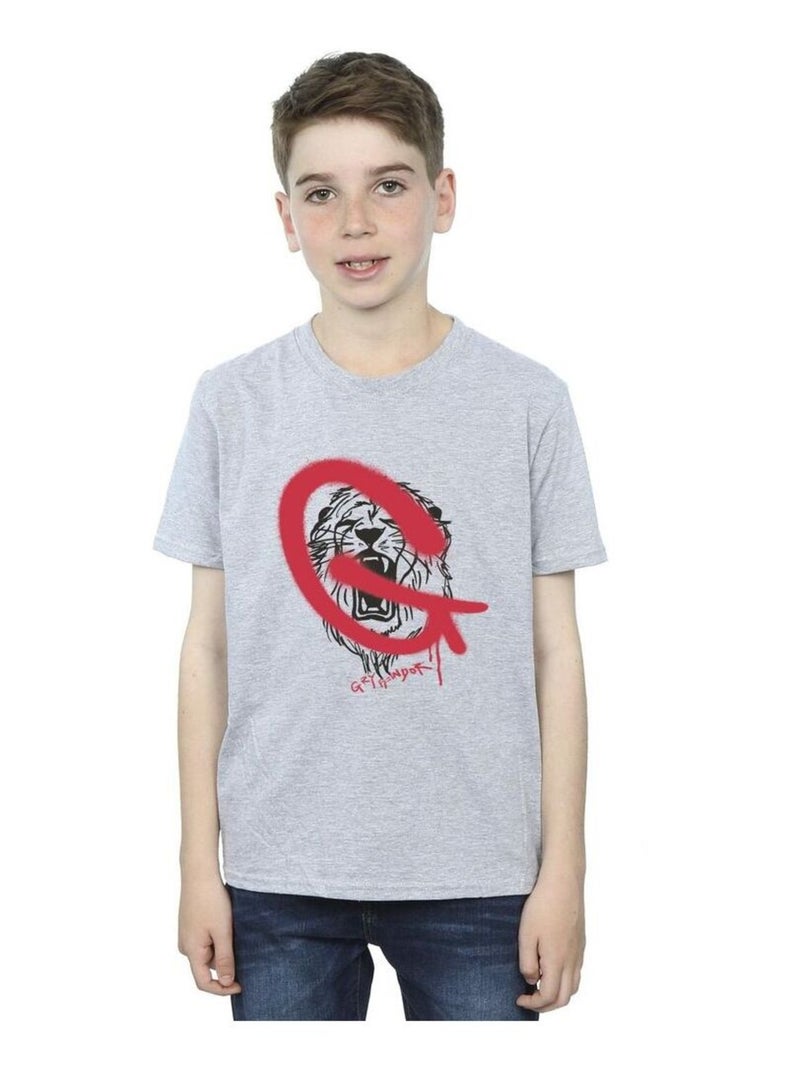 Harry Potter - T-shirt GRYFFINDOR Gris chiné - Kiabi