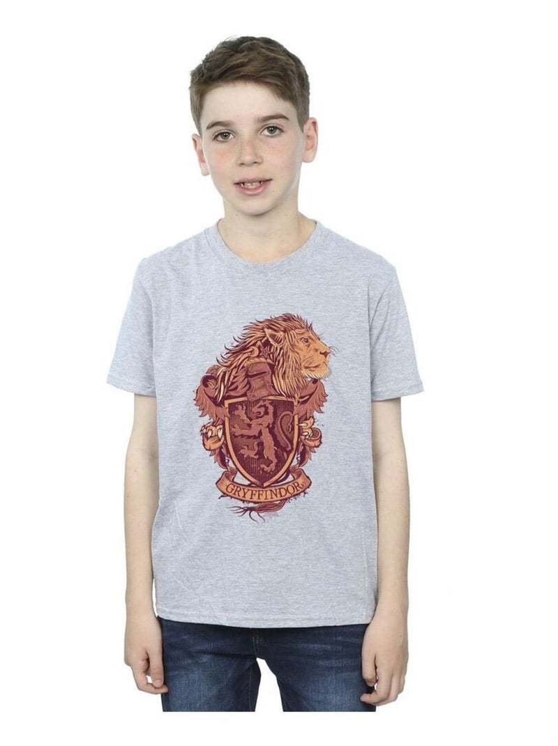 Harry Potter - T-shirt GRYFFINDOR Gris chiné - Kiabi