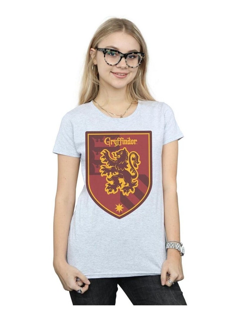 Harry Potter - T-shirt GRYFFINDOR Gris chiné - Kiabi
