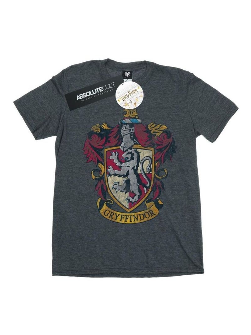 Harry Potter - T-shirt GRYFFINDOR Gris foncé - Kiabi