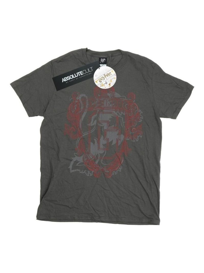 Harry Potter - T-shirt GRYFFINDOR Gris Noir - Kiabi