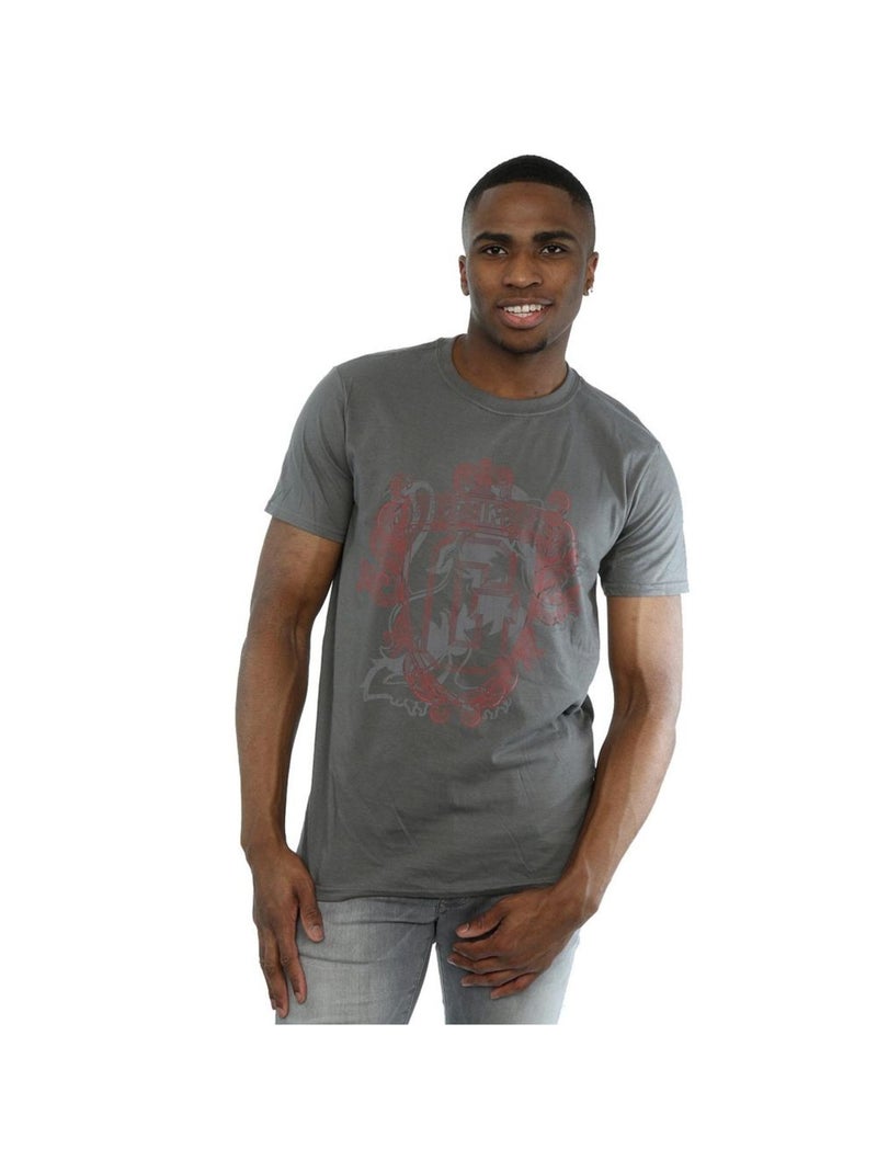 Harry Potter - T-shirt GRYFFINDOR Gris Noir - Kiabi