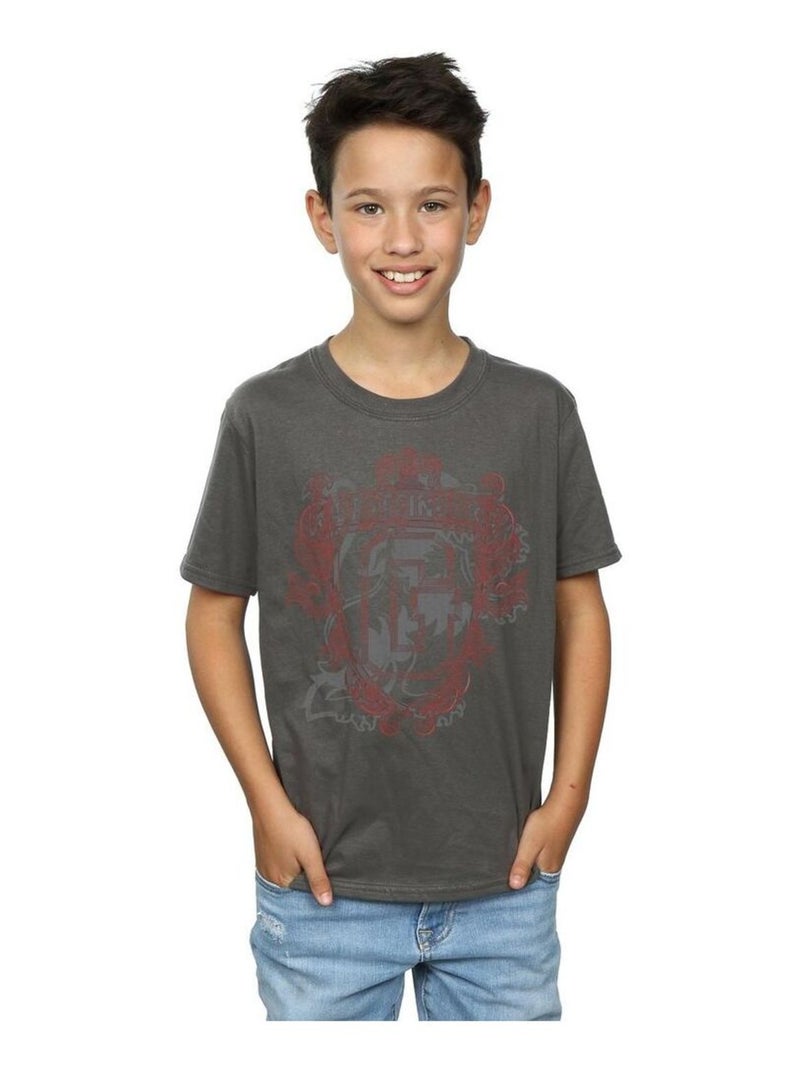 Harry Potter - T-shirt GRYFFINDOR Gris Noir - Kiabi