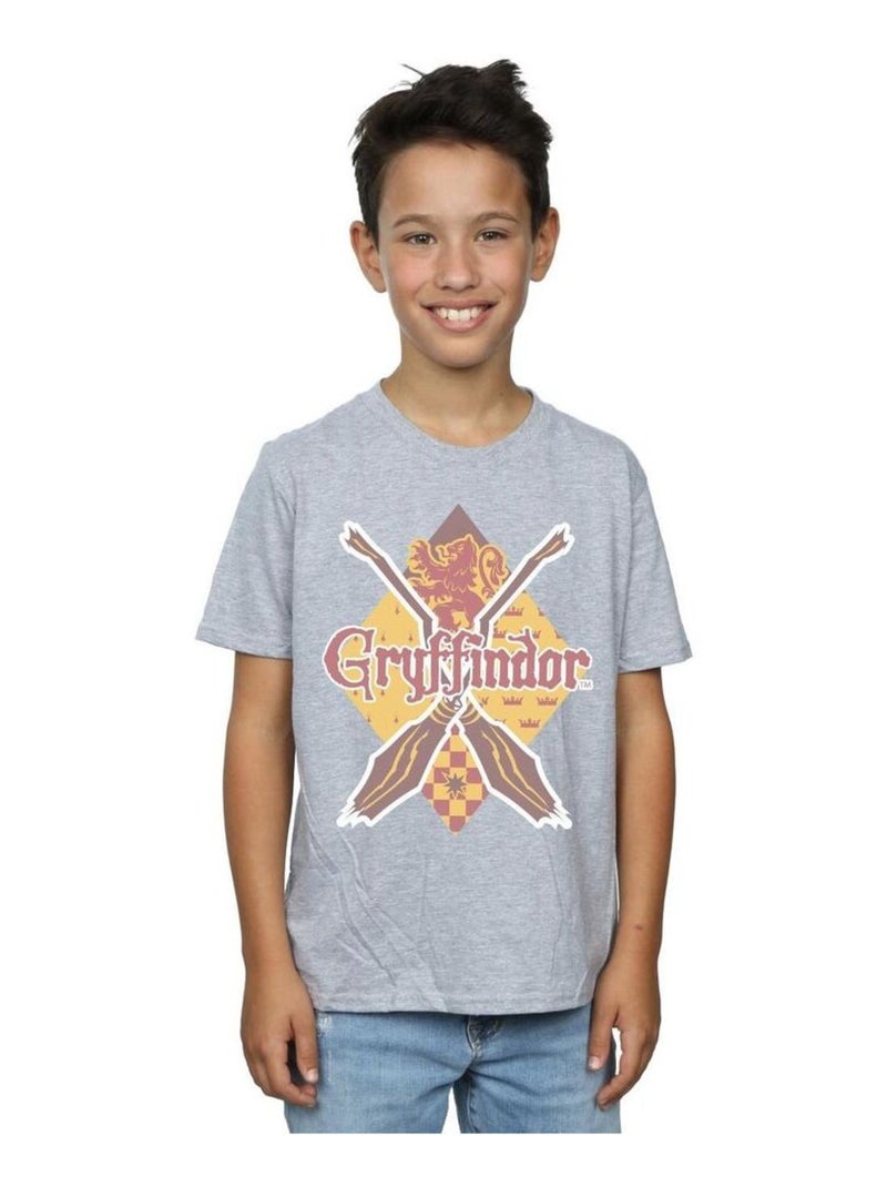 Harry Potter - T-shirt GRYFFINDOR LOZENGE Gris chiné - Kiabi