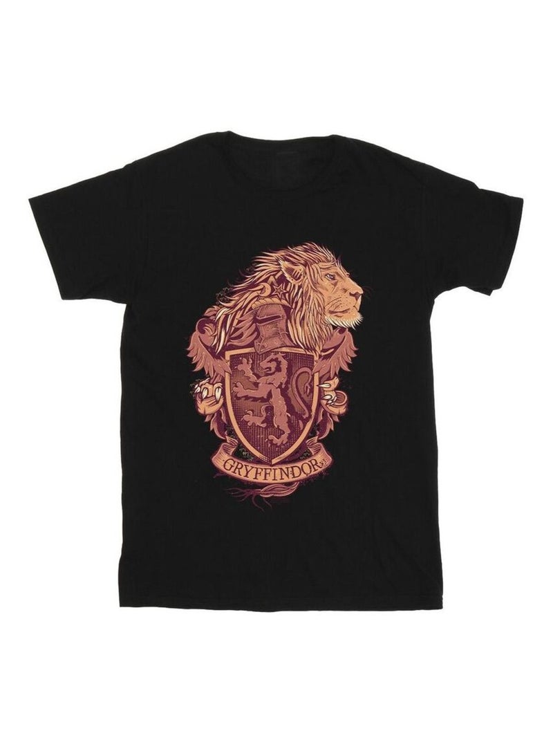 Harry Potter - T-shirt GRYFFINDOR Noir - Kiabi