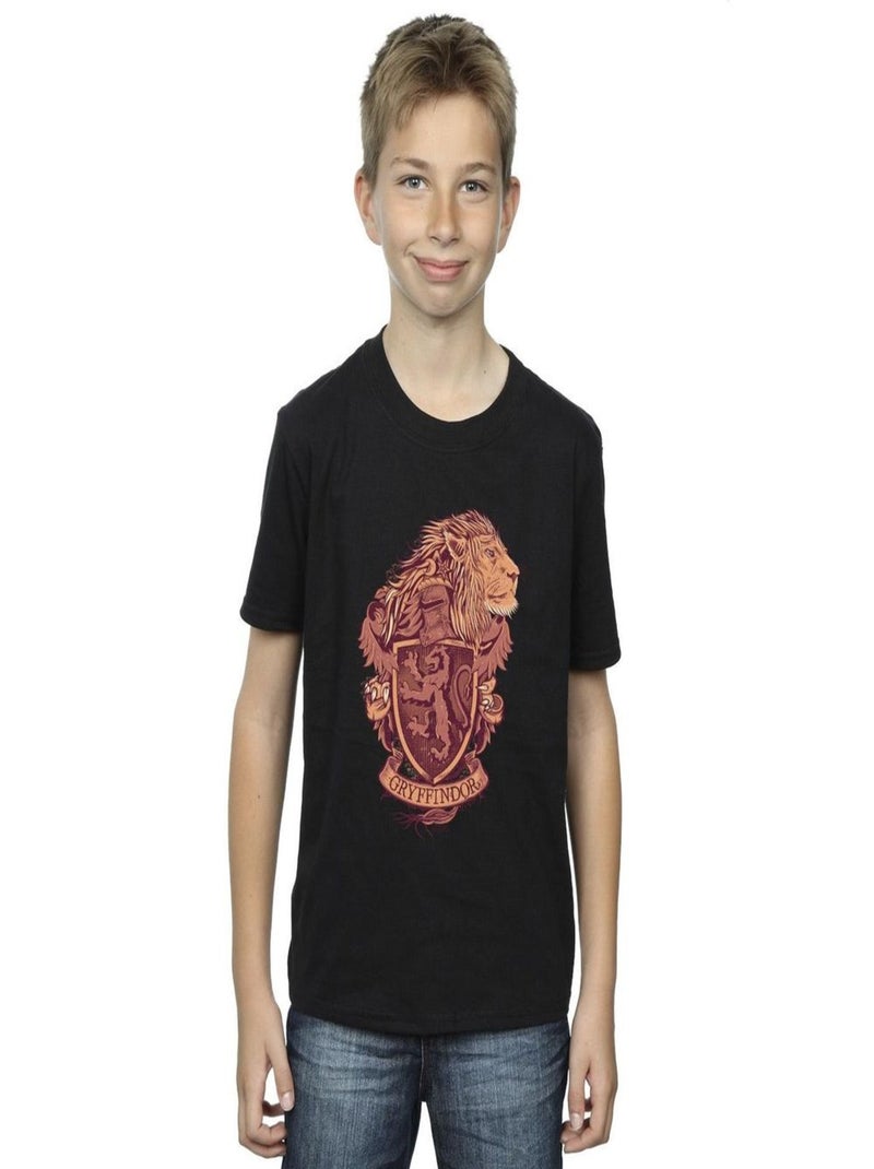 Harry Potter - T-shirt GRYFFINDOR Noir - Kiabi