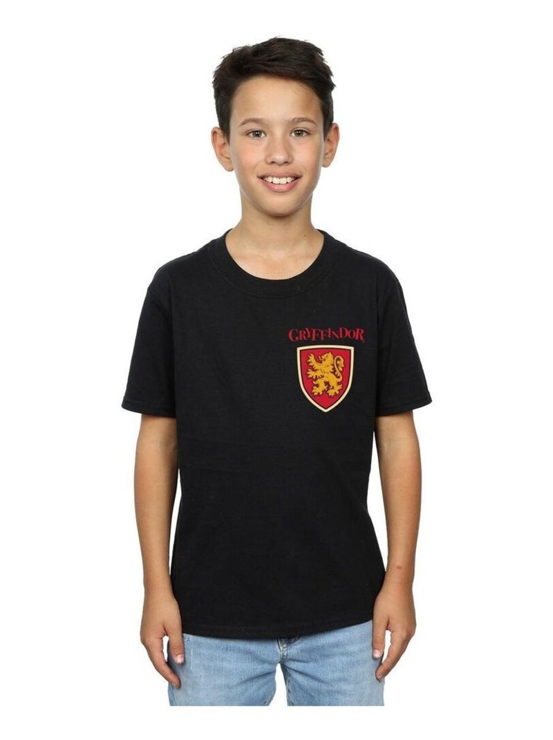 Harry Potter - T-shirt GRYFFINDOR Noir - Kiabi