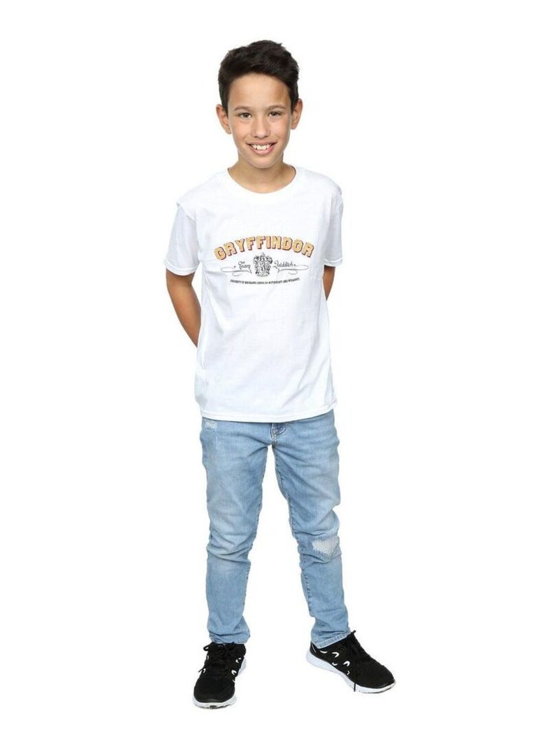 Harry Potter - T-shirt GRYFFINDOR QUIDDITCH Blanc - Kiabi
