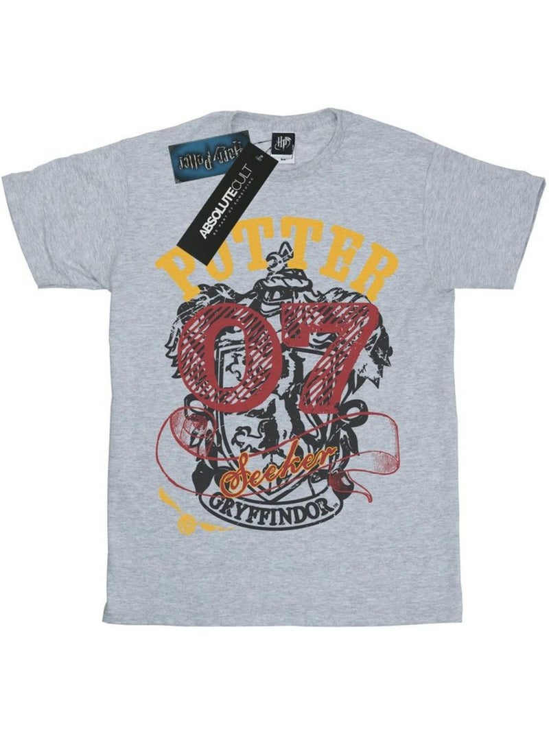 Harry Potter - T-shirt GRYFFINDOR SEEKER Gris chiné - Kiabi