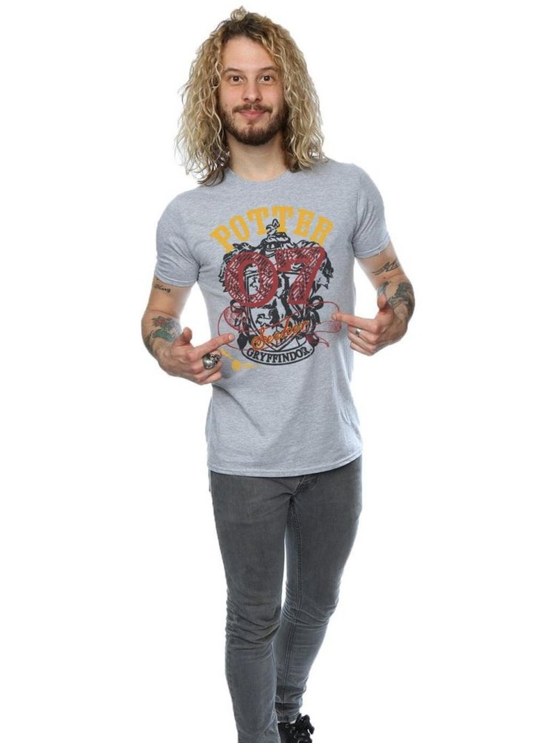 Harry Potter - T-shirt GRYFFINDOR SEEKER Gris chiné - Kiabi
