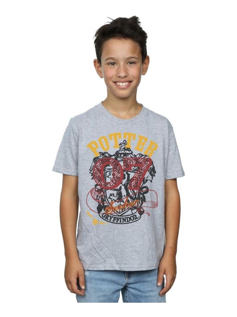 Harry Potter - T-shirt GRYFFINDOR SEEKER Gris chiné - Kiabi