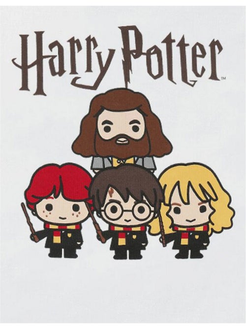Harry Potter - T-shirt HARRY AND FRIENDS - Kiabi
