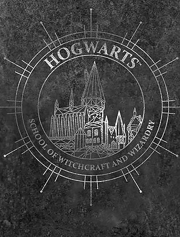 Harry Potter - T-shirt HOGWARTS CONSTELLATION