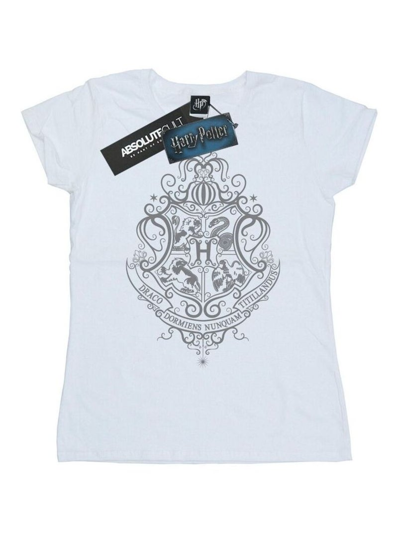 Harry Potter - T-shirt HOGWARTS DRACO DORMIENS Blanc - Kiabi