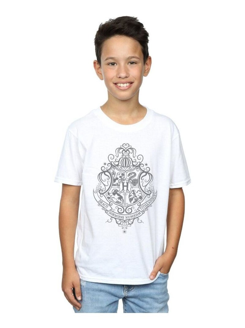 Harry Potter - T-shirt HOGWARTS DRACO DORMIENS Blanc - Kiabi