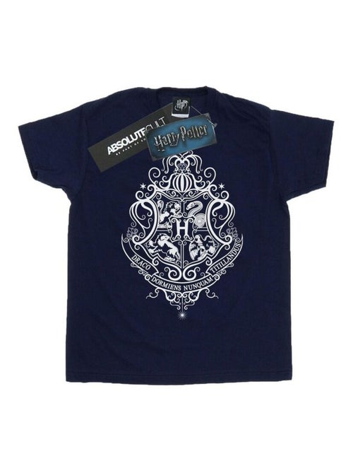 Harry Potter - T-shirt HOGWARTS DRACO DORMIENS - Kiabi