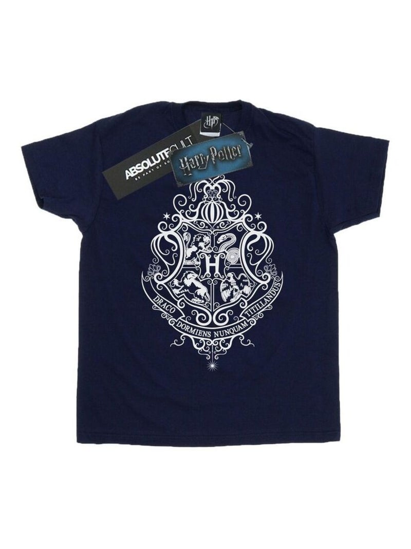 Harry Potter - T-shirt HOGWARTS DRACO DORMIENS Bleu marine - Kiabi