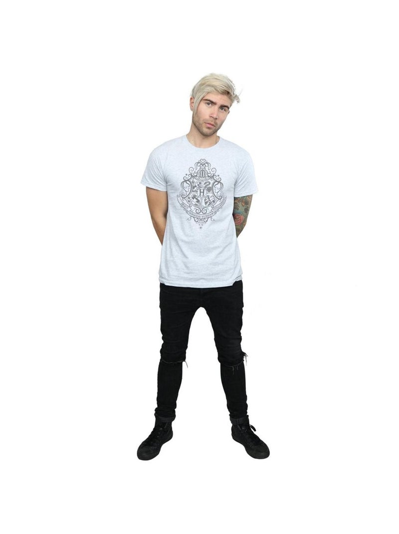 Harry Potter - T-shirt HOGWARTS DRACO DORMIENS Gris chiné - Kiabi