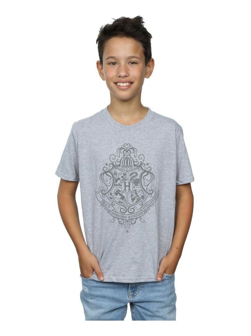 Harry Potter - T-shirt HOGWARTS DRACO DORMIENS Gris chiné - Kiabi