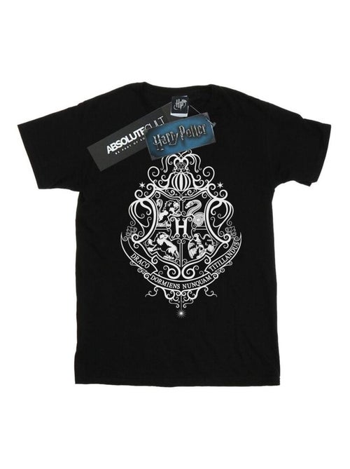 Harry Potter - T-shirt HOGWARTS DRACO DORMIENS - Kiabi
