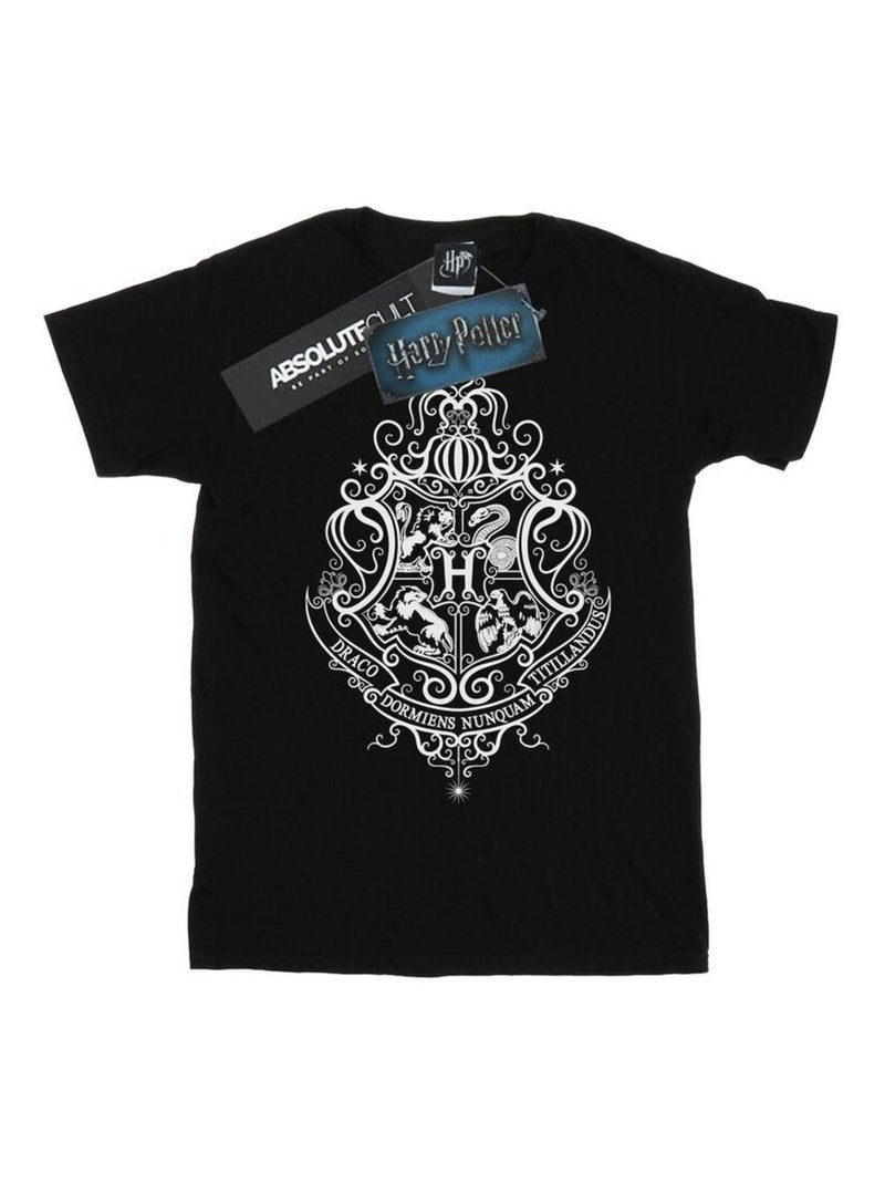 Harry Potter - T-shirt HOGWARTS DRACO DORMIENS Noir - Kiabi