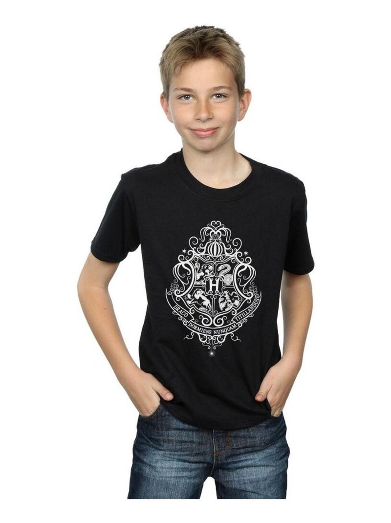 Harry Potter - T-shirt HOGWARTS DRACO DORMIENS Noir - Kiabi