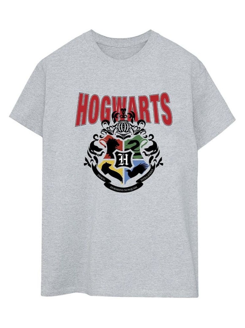Harry Potter - T-shirt HOGWARTS Gris chiné - Kiabi