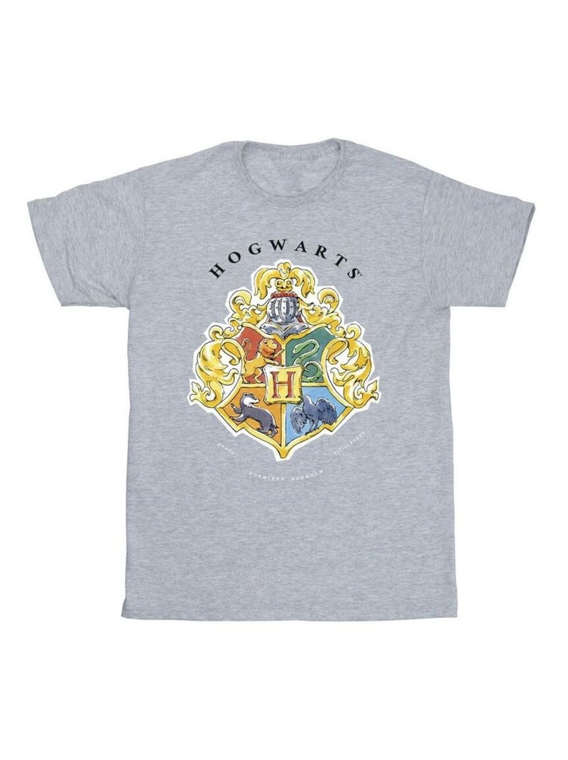 Harry Potter - T-shirt HOGWARTS Gris chiné - Kiabi