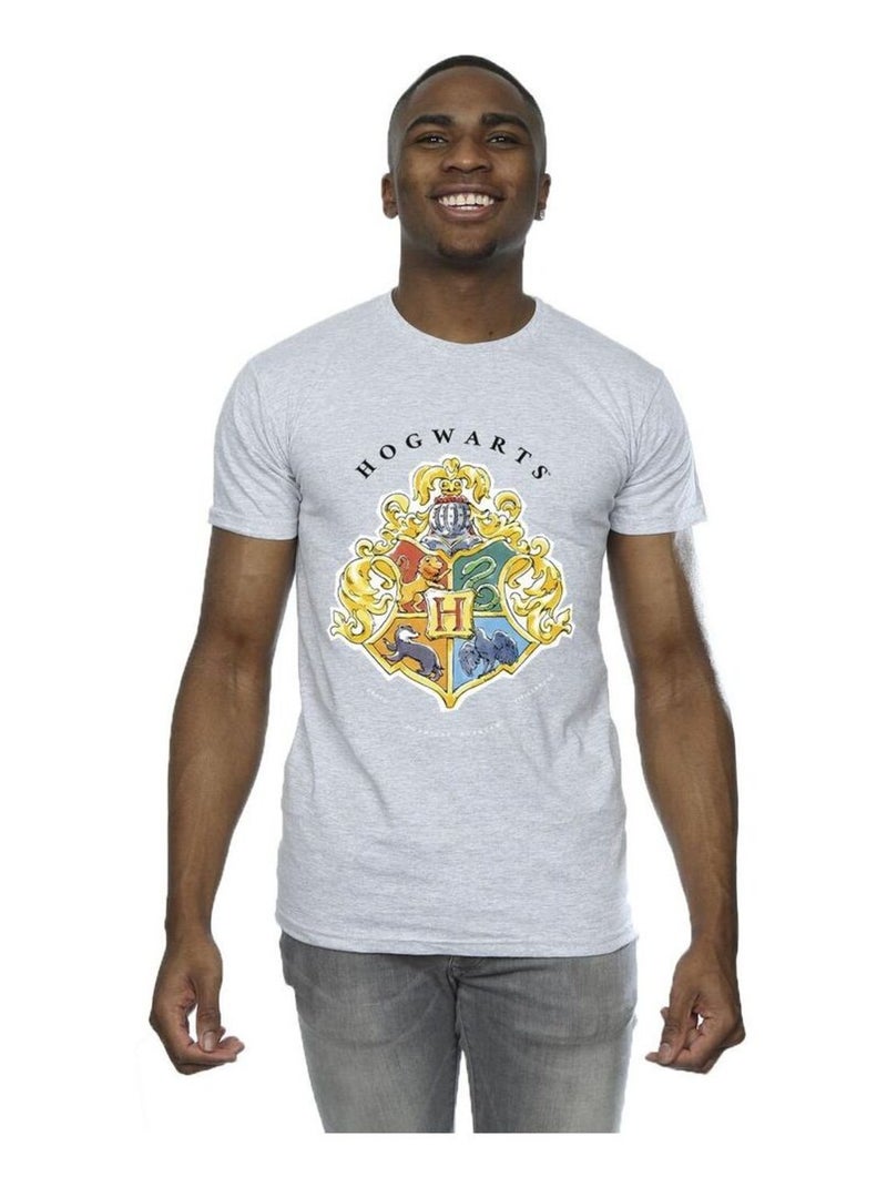 Harry Potter - T-shirt HOGWARTS Gris chiné - Kiabi