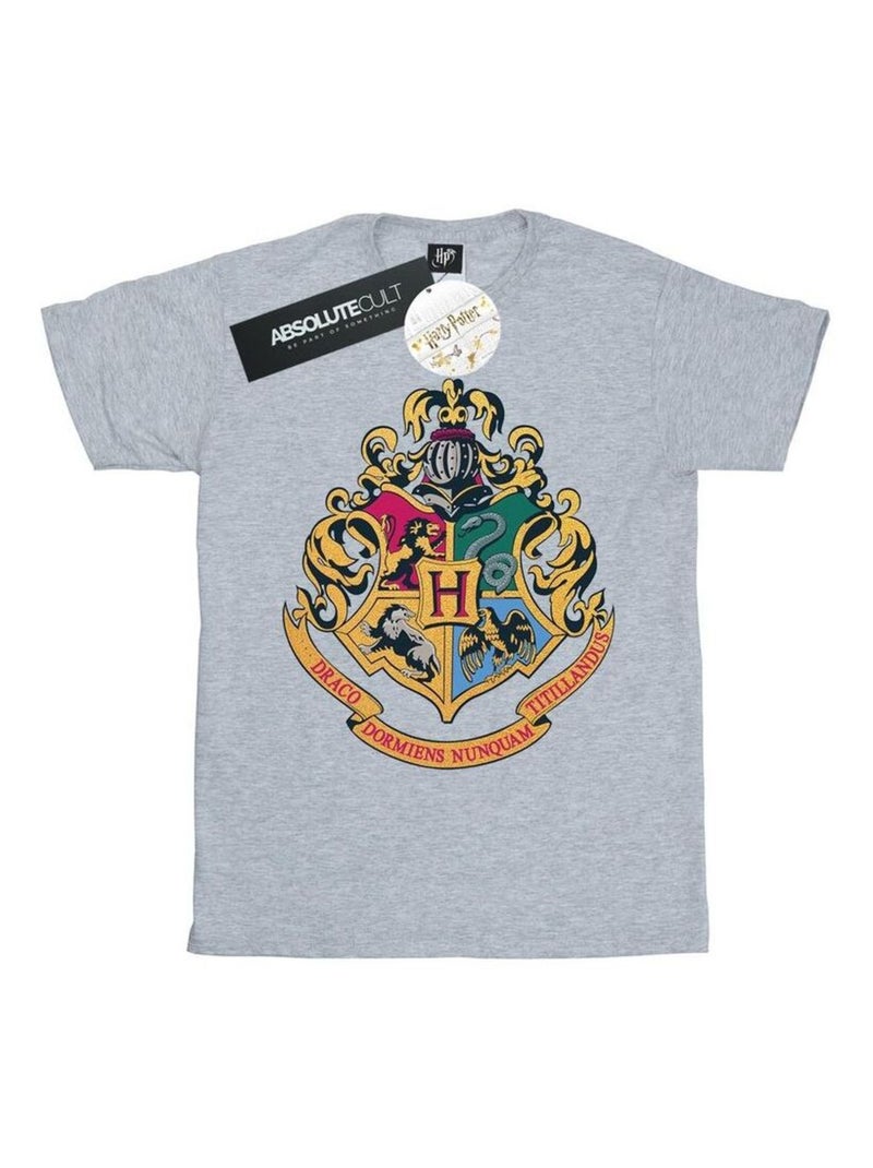 Harry Potter - T-shirt HOGWARTS Gris chiné - Kiabi